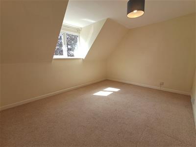 Picture 24